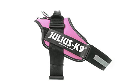 Julius-K9 16IDC - Power Harness