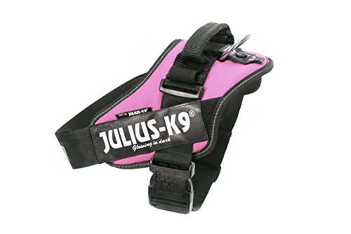 Julius-K9 16IDC - Power Harness