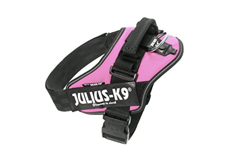 Julius-K9 16IDC - Power Harness