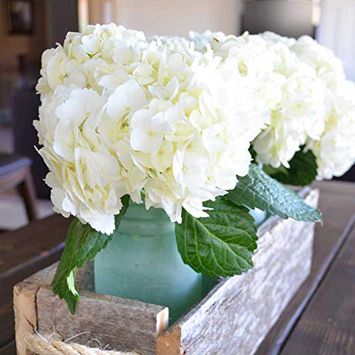 JUSTIDEA Flores Artificiales Hortensia Flor Falsa Ramo de Flores Blanco para Decoración de Boda Hogar (10 Piezas)