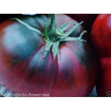 LARGE BLACK RUSSIAN TOMATO SEEDS. KNOWN FOR EARTHY TOMATO FLAVOR