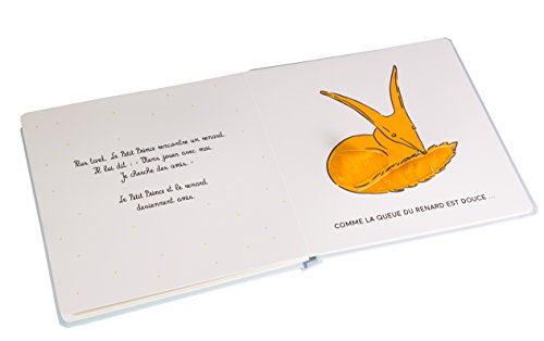 Le Petit Prince : Mon livre à toucher (LE PETIT PRINCE POUR LES BEBES)