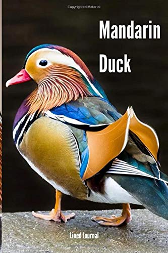 Mandarin Duck Lined Journal