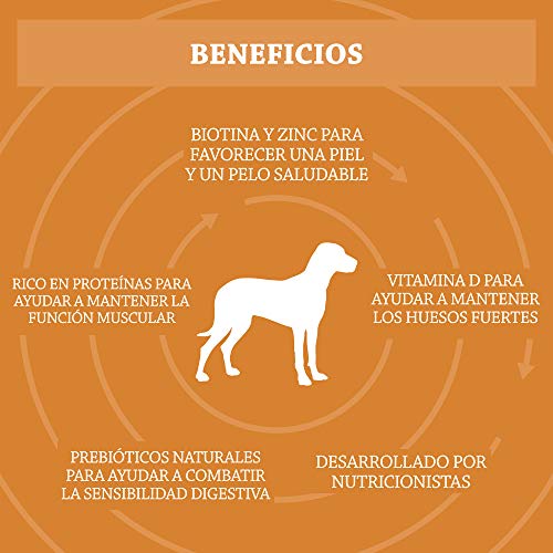 Marca Amazon - Solimo - Alimento seco completo para perro adulto rico en pollo con guisantes, 1 pack de 20 kg