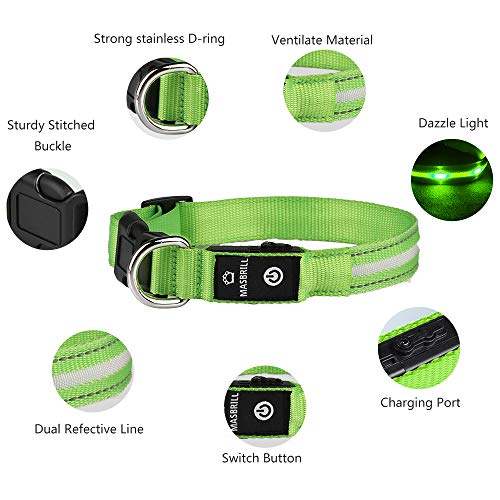 MASBRILL Collar LED Perro, Collar para Perro Luminoso Recargable y Impermeable, 3 Modos de Iluminación led y Tamaño Ajustable para Perros Pequeños Medianos Grandes(Verde L)