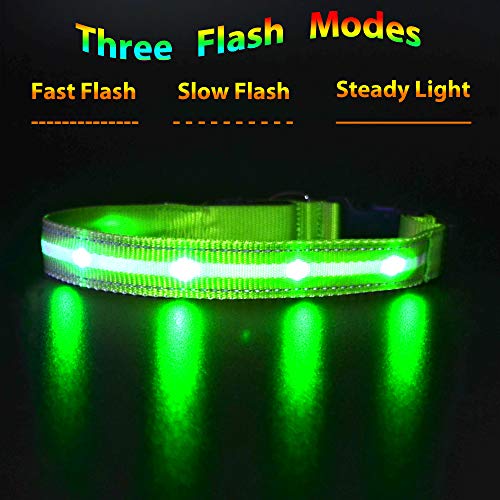 MASBRILL Collar LED Perro, Collar para Perro Luminoso Recargable y Impermeable, 3 Modos de Iluminación led y Tamaño Ajustable para Perros Pequeños Medianos Grandes(Verde L)