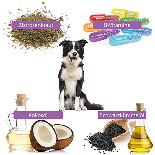 Medidog Zeggi Weggi 400 g Premium Protección Drops para perros, prensado en frío y cereales, con aceite de comino negro, aceite de coco y zistrosa, hipoalergénico, sin garrapatas, garrapatas, pinzas