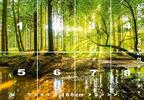 murimage Papel Pintado Bosque 366 x 254 cm Incluyendo Pegamento Fotomurales Vista 3D Madera árboles luz del Sol Sala Living Oficina Dormitorio