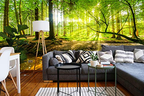 murimage Papel Pintado Bosque 366 x 254 cm Incluyendo Pegamento Fotomurales Vista 3D Madera árboles luz del Sol Sala Living Oficina Dormitorio