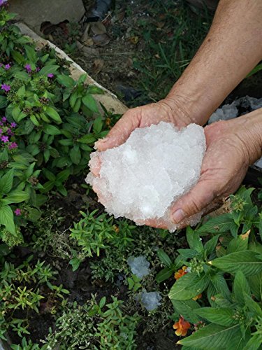 NOVINGRECONS Agua Gel - Formato Jardin/Huerto. Retenedor Agua Multiples Ciclos Uso. Cubo 1Kg.