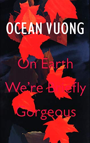 On Earth We Are Briefly Gorgeous