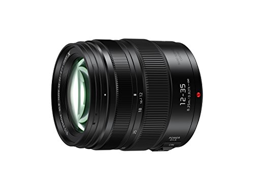 Panasonic LUMIX H-HSA12035 II - Objetivo Zoom estándar para cámaras de montura M4/3 (Focal 12-35 mm, F2.8, tamaño filtro 58 mm, lentes asféricas, resistente agua/polvo, POWER O.I.S), Negro