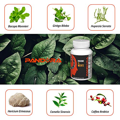 Pandora Nootrópico Natural . Favorece la Concentración y Memoria . Impulsa Tu Energía y Motivación (bacopa Monnieri , Huperzina A, Ginkgo Biloba , Melena de León, Cafeína , Teanina) .30 Cápsulas