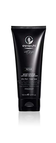 Paul Mitchell awapuhi Wild Ginger moisturizing LATHER Champú, 100 ml