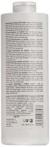 Postquam | Champú Reconstructor y Reparador del Cabello, 1000ML