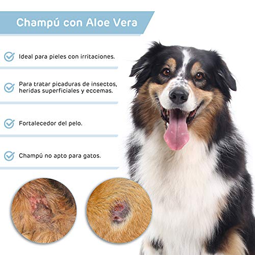 RC ocio Pack Champu Perros Aloe Vera + Acondicionador suavizante/Piel Sensible atopica champú para Combatir la Dermatitis, picores, picor, picaduras de Insectos. para Pelo Blanco, Negro y Marron