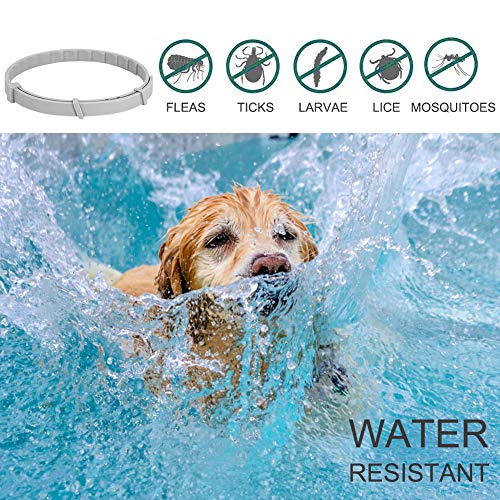 SEGMINISMART Collar Antiparasitario para Perros, contra Pulgas Garrapatas y Mosquitos, Ajustable a Prueba de Agua, para Pequeños Animales Domésticos de Tamaño Mediano