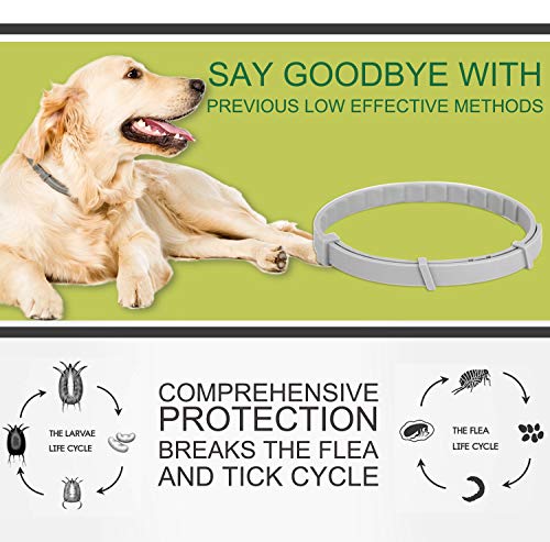 SEGMINISMART Collar Antiparasitario para Perros, contra Pulgas Garrapatas y Mosquitos, Ajustable a Prueba de Agua, para Pequeños Animales Domésticos de Tamaño Mediano