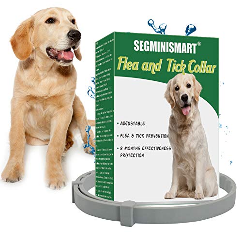 SEGMINISMART Collar Antiparasitario para Perros, contra Pulgas Garrapatas y Mosquitos, Ajustable a Prueba de Agua, para Pequeños Animales Domésticos de Tamaño Mediano