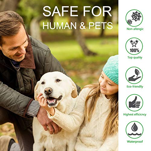 SEGMINISMART Collar Antiparasitario para Perros, contra Pulgas Garrapatas y Mosquitos, Ajustable a Prueba de Agua, para Pequeños Animales Domésticos de Tamaño Mediano