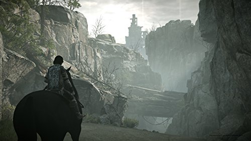 Shadow of the Colossus (PS4)