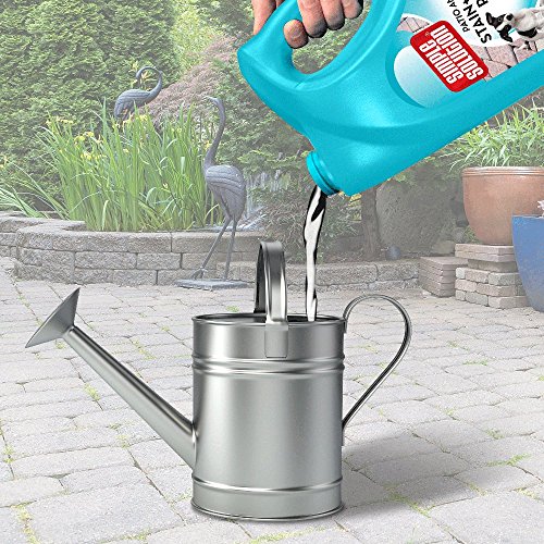 Simple Solution Patio y removedor de Manchas y olores para Mascotas, 4 L