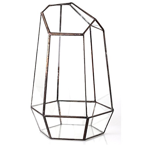 Terrario de forma geométrica de prisma, de cristal, irregular, 25 cm de altura, de sobremesa, para plantas suculentas, helechos y musgo