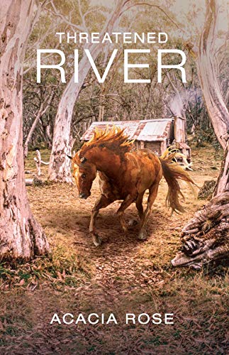 THREATENED RIVER (English Edition)