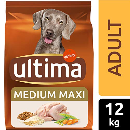 Ultima Comida para Perros Medium Maxi Adultos con Pollo, 12 kg