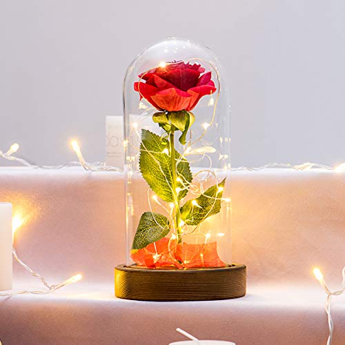 Yamonic "La Bella y la Bestia" Rosa de Seda roja y luz LED con pétalos caídos en la cúpula de Vidrio en la Base de Madera para la decoración del hogar Boda Cumpleaños Día de San Valentín