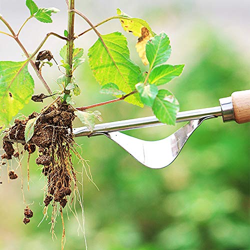 YAVO-EU Eliminar Malas Hierbas Extractor Quita Desherbador Manual Horquilla de Mango de Madera Desmalezador de Jardín De Acero Inoxidable