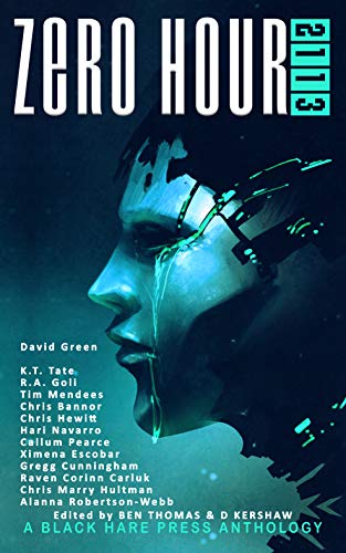 ZERO HOUR 2113 (English Edition)