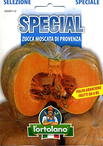 Zucca Moscata di Provenza Ibrido L'Ortolano