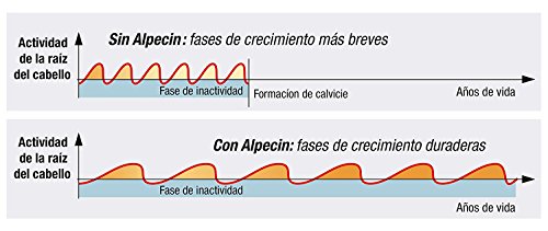 Alpecin Champú Doble Efecto, 2 x 200 ml – Champú anticaída y anticaspa