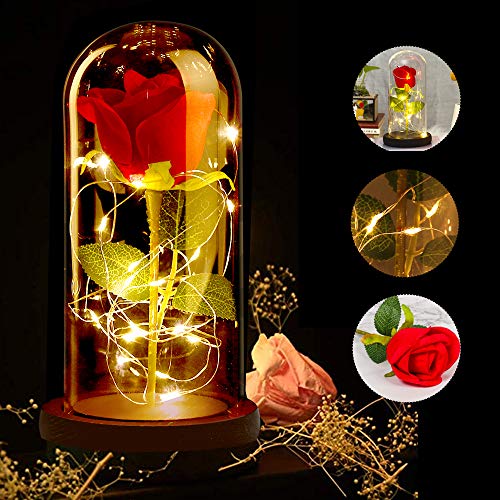 ASANMU Kit de Rosas, Bella y la Bestia Rosa de Seda Roja y luz LED con Pétalos Caídos en Cúpula de Cristal sobre una Base de Madera Mejor Regalo para día de San Valentín, Navidad, Cumpleaños (Roja)