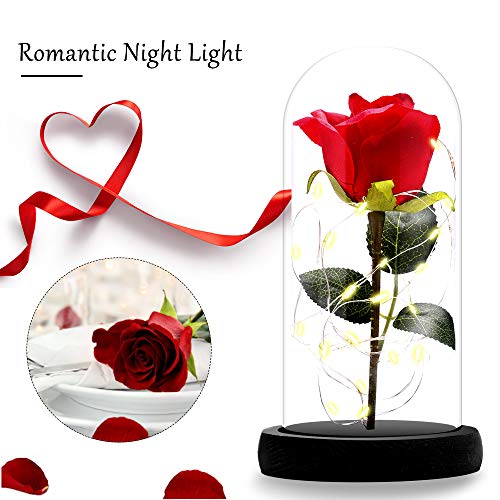 ASANMU Kit de Rosas, Bella y la Bestia Rosa de Seda Roja y luz LED con Pétalos Caídos en Cúpula de Cristal sobre una Base de Madera Mejor Regalo para día de San Valentín, Navidad, Cumpleaños (Roja)