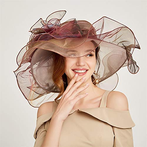 BDLEZI De Sombrero Multicolor británica Organza, Personalidad Elegante, Primavera y otoño del Sombrero del Sol Externa, Sombrero de Fiesta Mujeres de la Moda (Color : Powder)