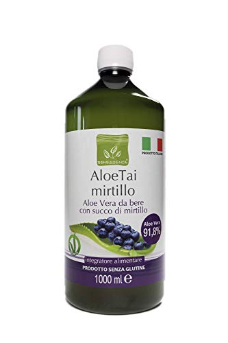 Benessence - Aloe Arándano Zumo de Aloe Vera con Arándano 1000 ml - Hecho en Italia - 3 x 1L