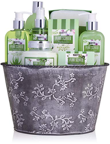 BRUBAKER Cosmetics Set de Baño y Ducha Aloe Vera Fragancia de Lavanda - 9 piezas set de regalo en una jardinera vintage