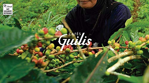 CAFES GUILIS Café en Grano Descafeinado Arábica Tueste Natural Sabor Aroma Espresso 1 Kg