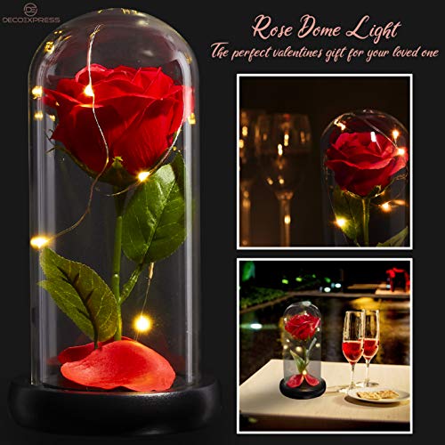 DECO EXPRESS Rosa Bella y Bestia Con Luces Led Suaves, Cupula de Cristal Con Pétalos Caidos y Base de Madera, Decoración Hogar, Regalos Originales Para Mujer San Valentin Dia de la Madre