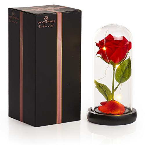 DECO EXPRESS Rosa Bella y Bestia Con Luces Led Suaves, Cupula de Cristal Con Pétalos Caidos y Base de Madera, Decoración Hogar, Regalos Originales Para Mujer San Valentin Dia de la Madre