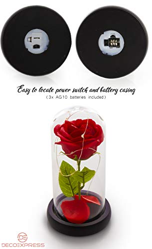 DECO EXPRESS Rosa Bella y Bestia Con Luces Led Suaves, Cupula de Cristal Con Pétalos Caidos y Base de Madera, Decoración Hogar, Regalos Originales Para Mujer San Valentin Dia de la Madre