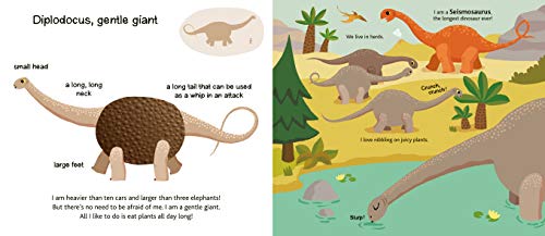 Dinosaurs (Touch and Explore)