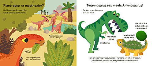 Dinosaurs (Touch and Explore)