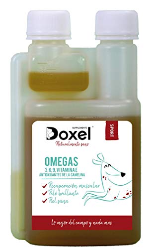 Doxel Sport -500ml Aceite para Perros | Suplementos Naturales nutricionales | Antioxidantes| Recuperación Muscular| Articulaciones sanas |Sistema inmunitario Reforzado| Canicross| Agility| Mushing