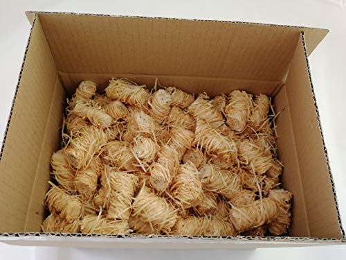 Encendedores de madera natural ecológica – 200 encendedores de llama de lana de madera por caja. Ideal para iluminación de incendios en estufas, barbacoas, hornos de pizza y ahumadores.