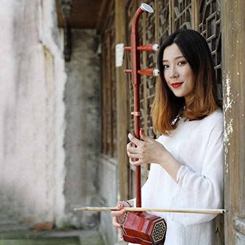 Erhu Música Chino Instrumento Musical Característica Nacional Instrumento Musical Flor De Pera Principiante Tocando La Prueba Piano para Adultos Instrumento De Cuerda Viento Madera (Color : Brown)