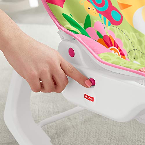 Fisher-Price GNV70 Rock and Roar - Hamaca Crece Conmigo, Silla para Bebé