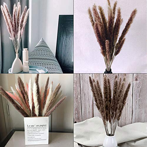 GoMaihe 30 Piezas Pampas Secas, 60 cm Flores Secas Naturales para Jarrones, Ramo Decoración Boho Decoracion Hogar Habitacion Salon Baño, Objetos Decoracion Modernos Boda Fotografía de Mesa